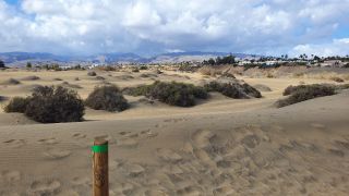 2023-GC--Mapalomas dunas-S123-064.jpg